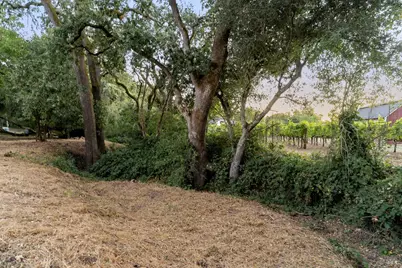 1051 Fabiola Drive, Napa, CA 94558 - Photo 46