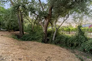 1051 Fabiola Dr, Napa, CA 94558 - Photo 46