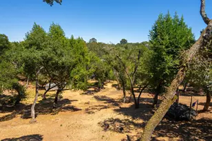 311 Grandview Ave, Novato, CA 94945 - Photo 38