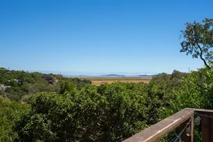 311 Grandview Ave, Novato, CA 94945 - Photo 18