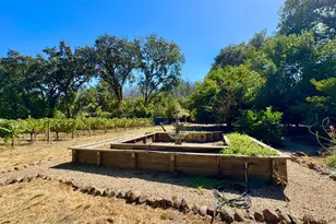 109 Glass Mountain Ln, Saint Helena, CA 94574 - Photo 50