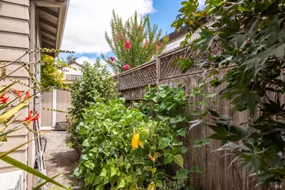 110 John Roberts Drive, Cotati, CA 94931 - Photo 42