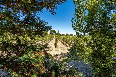 1054 Olive Hill Lane, Napa, CA 94558 - Photo 56