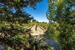 1054 Olive Hill Ln, Napa, CA 94558 - Photo 56
