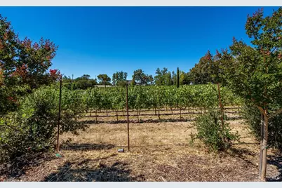 1054 Olive Hill Lane, Napa, CA 94558 - Photo 60