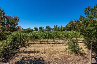 1054 Olive Hill Ln, Napa, CA 94558 - Photo 60