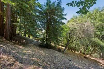 32 Meyer Road, San Rafael, CA 94901 - Photo 62