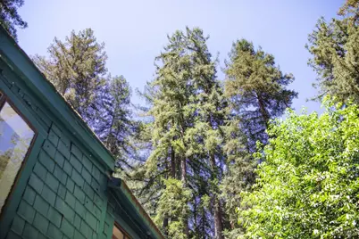 132 Madrone Avenue #178, Camp Meeker, CA 95419 - Photo 34