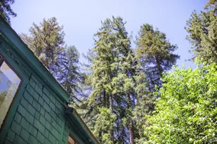 132 Madrone Ave, Camp Meeker, CA 95419 - Photo 34