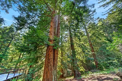 30901 Philo Greenwood Road, Elk, CA 95432 - Photo 38