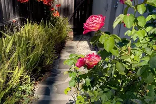 1826 Vervais Ave, Vallejo, CA 94591 - Photo 34