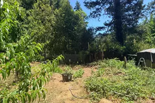 65341 Hwy 271, Leggett, CA 95585 - Photo 18