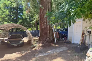65341 Hwy 271, Leggett, CA 95585 - Photo 4