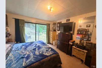 65341 Highway 271, Leggett, CA 95585 - Photo 8