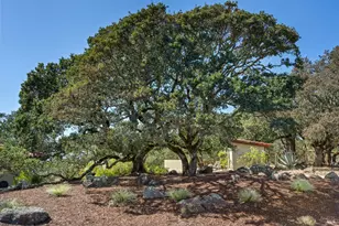 4800 Skycrest Way, Santa Rosa, CA 95405 - Photo 34