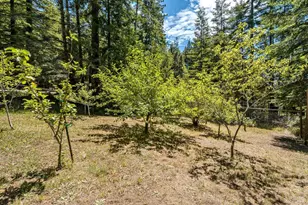 40900 Old Stage Rd, Gualala, CA 95445 - Photo 20