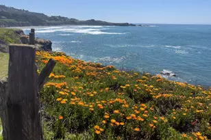 357 Deerfield Rd, The Sea Ranch, CA 95497 - Photo 58