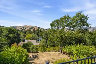 13 Sutro Ct, Novato, CA 94947 - Photo 44