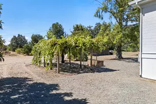 4980 Dry Creek Rd, Healdsburg, CA 95448 - Photo 20
