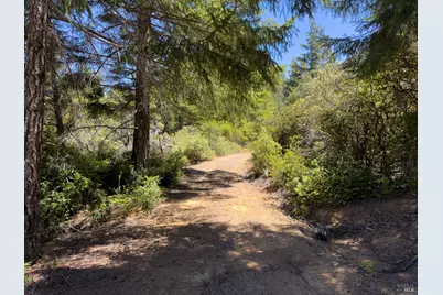 33416 Iversen Road, Gualala, CA 95445 - Photo 46