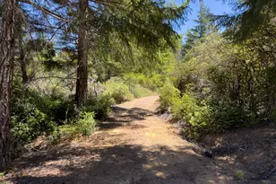 33416 Iversen Rd, Gualala, CA 95445 - Photo 46
