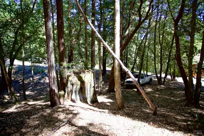 2371 Perch Drive, Willits, CA 95490 - Photo 4