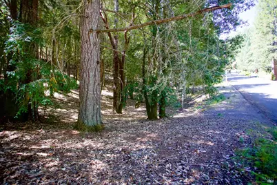 2371 Perch Drive, Willits, CA 95490 - Photo 2