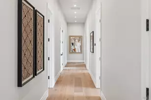 217 Cleveland Ave, Mill Valley, CA 94941 - Photo 38