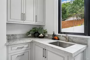 217 Cleveland Ave, Mill Valley, CA 94941 - Photo 56