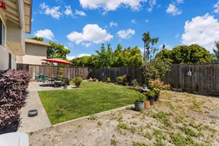 725 Park Ln, Petaluma, CA 94954 - Photo 28