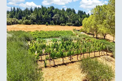 10560 Anderson Valley Way, Boonville, CA 95415 - Photo 54