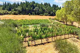 10560 Anderson Valley Way, Boonville, CA 95415 - Photo 54
