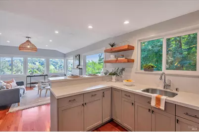 223 Scenic Road, Fairfax, CA 94930 - Photo 14