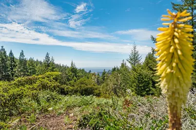 24680 Ten Mile Road, Point Arena, CA 95468 - Photo 6