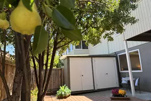 1056 Los Gamos Rd, San Rafael, CA 94903 - Photo 22