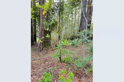 35136 Timber Ridge Road, The Sea Ranch, CA 95497 - Photo 10