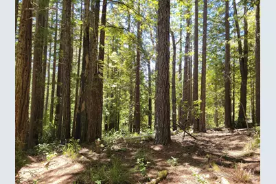 35136 Timber Ridge Road, The Sea Ranch, CA 95497 - Photo 4