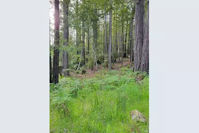 35136 Timber Ridge Road, The Sea Ranch, CA 95497 - Photo 20