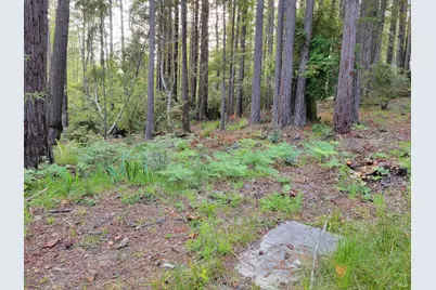 35136 Timber Ridge Road, The Sea Ranch, CA 95497 - Photo 18