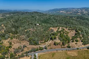 950 Canyon Rd, Geyserville, CA 95441 - Photo 10