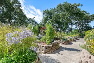100 Thorndale Dr, San Rafael, CA 94903 - Photo 30