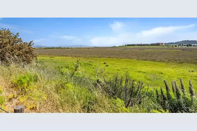 6 Egret View, San Rafael, CA 94901 - Photo 36