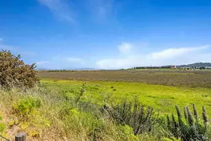 6 Egret View, San Rafael, CA 94901 - Photo 36