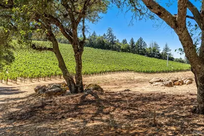 1075 Greenfield Road, Saint Helena, CA 94574 - Photo 4