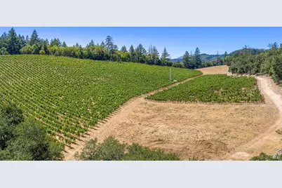 1075 Greenfield Road, Saint Helena, CA 94574 - Photo 6