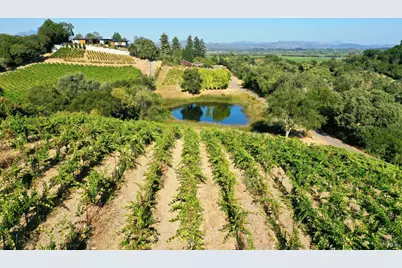 3291 Westside Road, Healdsburg, CA 95448 - Photo 44