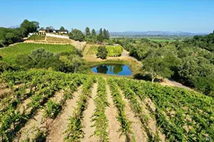 3291 Westside Rd, Healdsburg, CA 95448 - Photo 44