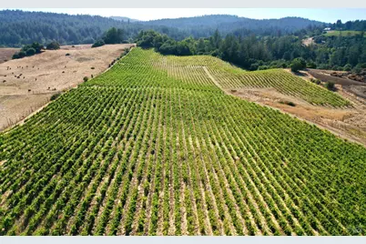 3291 Westside Road, Healdsburg, CA 95448 - Photo 34