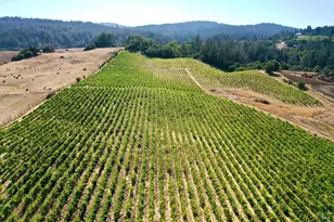 3291 Westside Rd, Healdsburg, CA 95448 - Photo 34