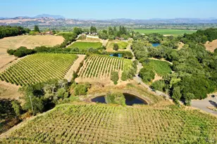 3291 Westside Rd, Healdsburg, CA 95448 - Photo 42